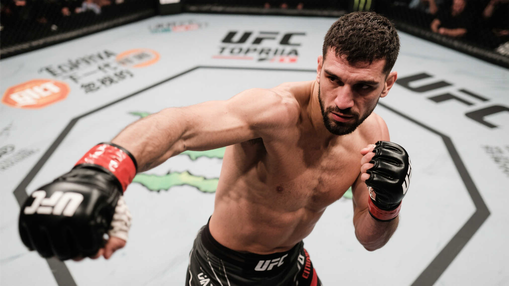 欧洲冠军联赛手机下载